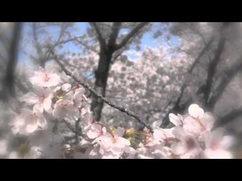 Telemann: "Mesto" from Sonata F-major ( Recorder, Viola da Gamba and B.c.)