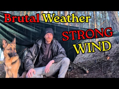 Schlimmster Wind dieses Winters – Obdachlos, aber glücklich