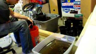 Transplanting Cannabis from Soil to Hydroponic Mediums