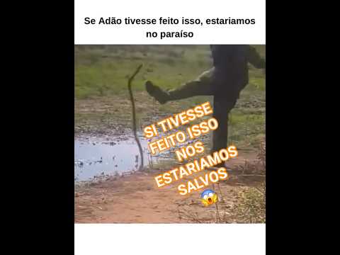#agro #memes #humor #engraçado