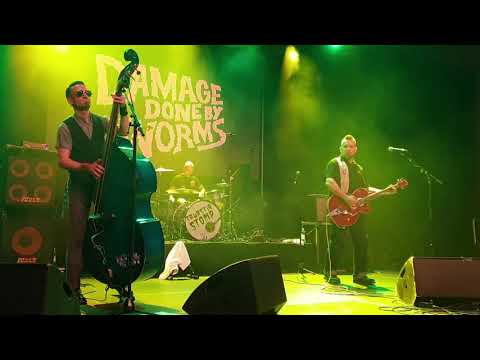 Damage Done By Worms - Bullshit @ Tawastia Stomp #19 2.11.2019