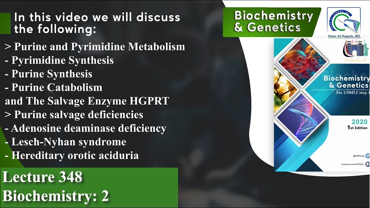 Purine and Pyrimidine Metabolism | Adenosine deaminase deficiency | Lesch-Nyhan syndrome