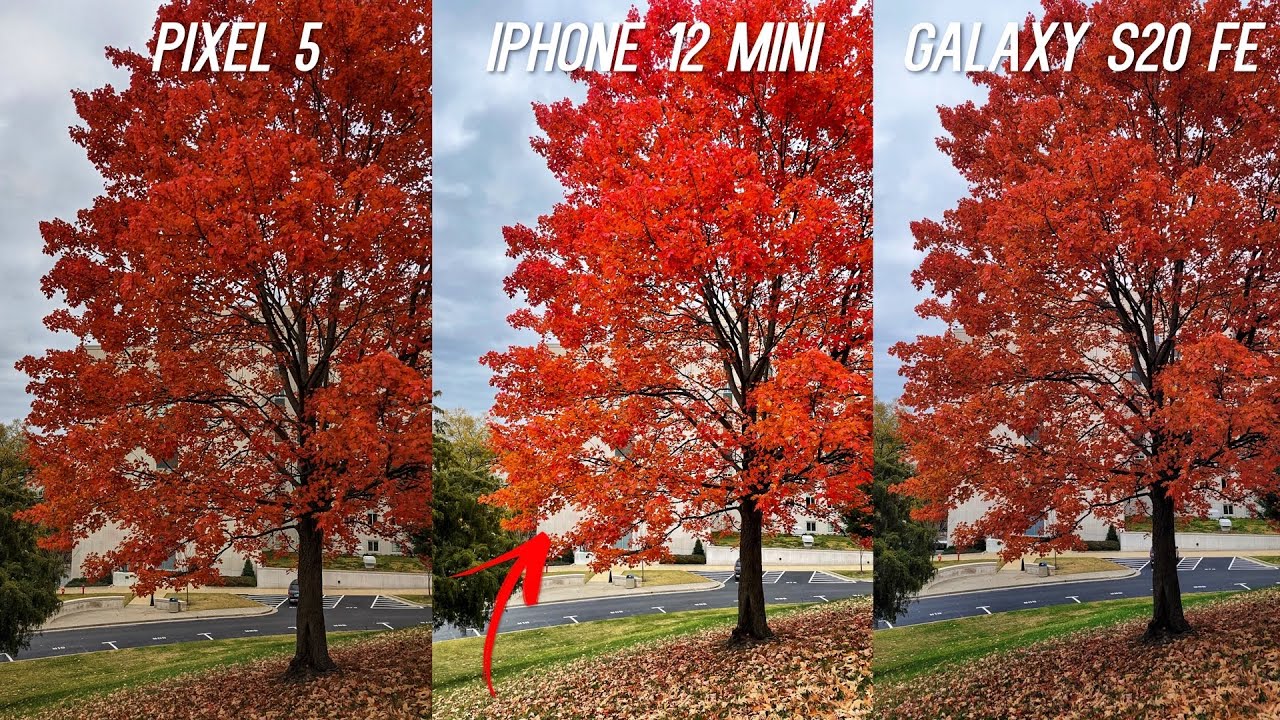 iPhone 12 Mini vs Pixel 5 vs Galaxy S20 FE Camera Comparison Test