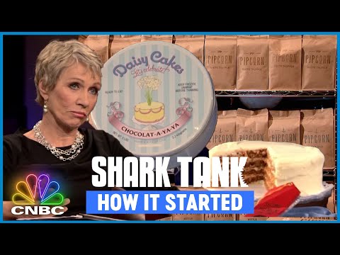 Barbara Corcoran's BEST Shark Tank Investments | Shark Tank How It Started