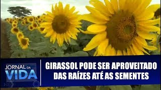 Miniatura do vídeo