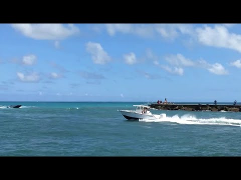 Miami Live Video #560