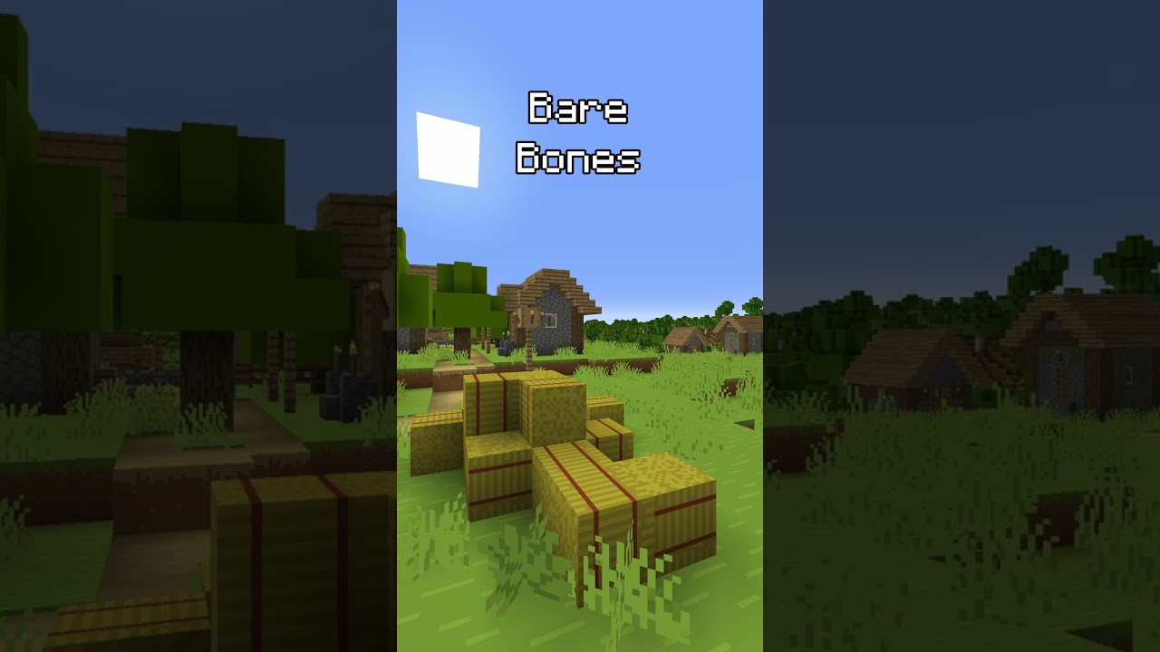 Which Minecraft Texture Pack Looks Best? 💐 | #Minecraft