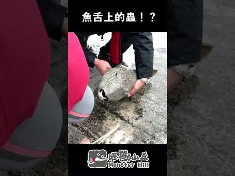 嘴巴生虫