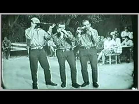 Sicilian Tarantella - The Harmonicaires