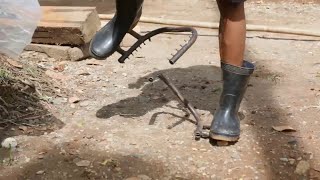 Download lagu ARECA TREE CLIMBING BOOTS. Makes monkeys cry when they see them. mp3