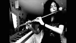 Sublevels - Meshuggah {solo Flute cover}