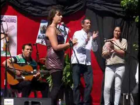 guitarra flamenca ( ayuda a juanma ) ramon manzano
