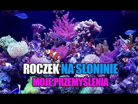 (67) Glossy Reef 200 - Roczek na słoninie - Akwarium morskie bez sumpa - Reef aquarium
