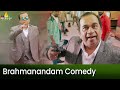 Brahmanandam Best Comedy | Aakatayi | Latest Telugu Scenes | Sri Balaji Video