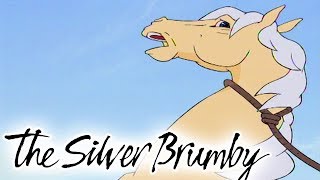 The Silver Brumby - Episode 6  Thowra Is Captured 