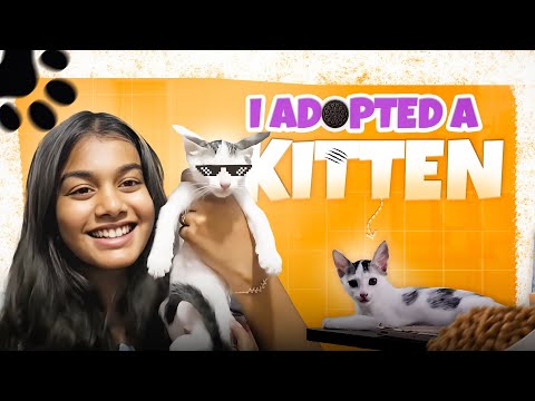 I Adopted a kitten 🤩🐈| New kitten in my new home🥹🐾 | Days at my home 🏡