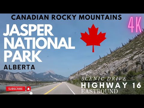 Relaxing Drive Through Scenic Jasper National Park | Alberta, Canada (Summer)