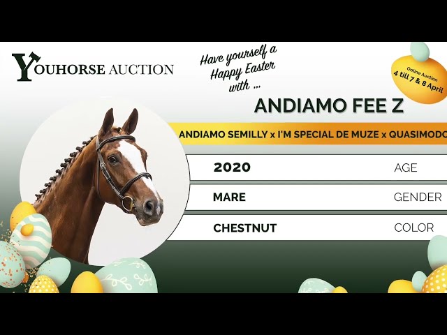 Andiamo Fee Z showvideo indoor