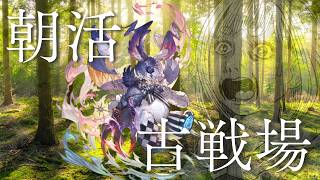 【#グラブル】【#光古戦場】朝です。おはようございます。【初見さん歓迎！】 #vtuber