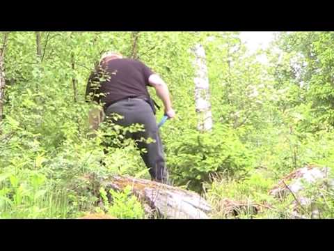 Näin heitetiin fispiitä