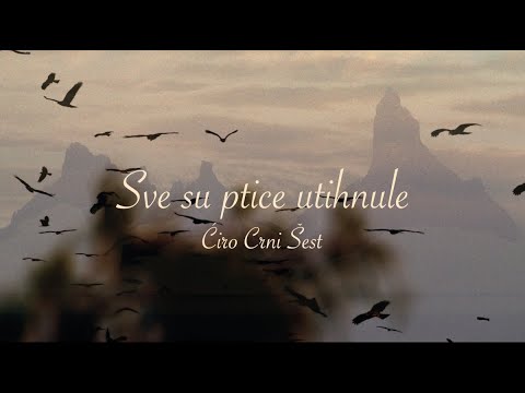Ćiro Crni Šest - Sve su ptice utihnule (Official lyric video)