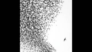 Wilco- On and On and On