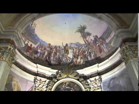 Invasione di api a Penna San Giovanni