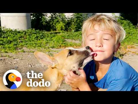 Rescued Puppies Reunite with their 5-Year-Old Savior