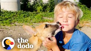 5-Year-Old Boy Insists On Rescuing Abandoned Puppies | The Dodo