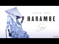 Young Thug Harambe Official Audio