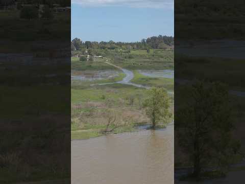 RÍO PARANA DESBORDADO😨
