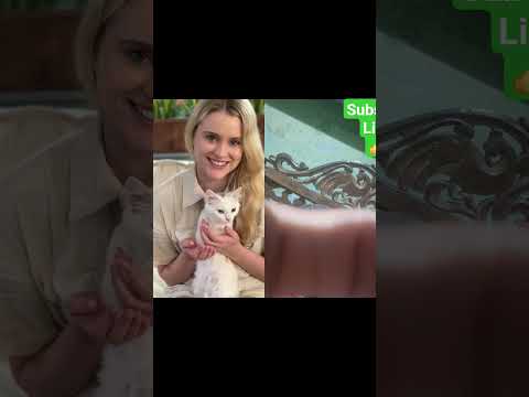 cat hungry #cat #food #cutecat