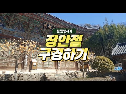 기장 장안사를 장안절로 소개