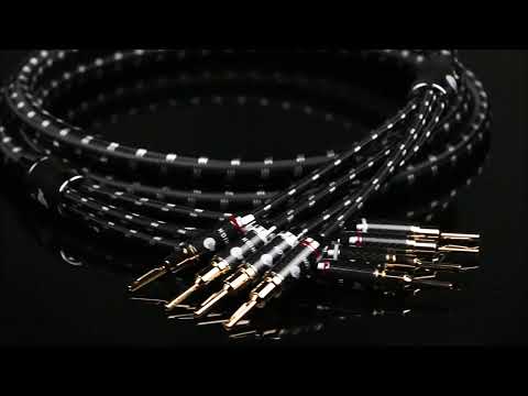 Boaacoustic BEB-2044 Evolution BLACK.sonic-17.biAmp