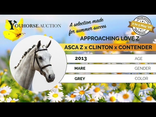 Approaching Love showvideo