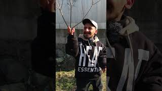 Download lagu babriitreesh 😀#funnyshort #viralshort #viralvideos #funshort #funjokes #reelsfunny #reeindia mp3 Download lagu babriitreesh 😀#funnyshort #viralshort #viralvideos #funshort #funjokes #reelsfunny #reeindia mp3