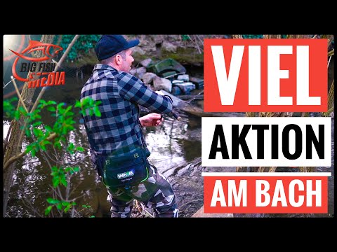 So SPANNEND kann ANGELN sein - ohne BROT nichts los :-)