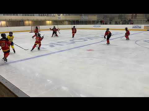 PK 83 - Koovee Yellow