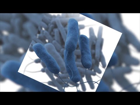 NJ Several Bergen & Passaic Residents Test Positive For Legionnaire’s Disease