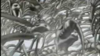 Wolf's Rain Get out of this Alive AMV