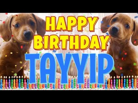 Happy Birthday Tayyip! ( Funny Talking Dogs ) What Is Free On My Birthday