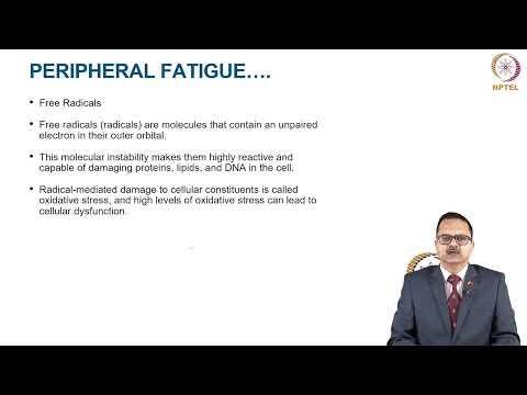 Fatigue in Sports Training thumbnail