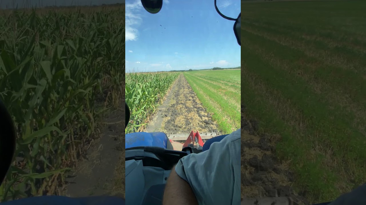 Jympa 3 késes talajlazító eladó