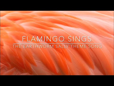 Song Lyrics Earthworm Sally Flamingo Albert Wattpad