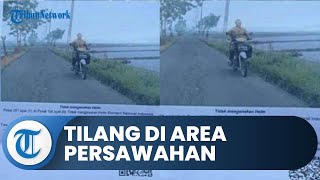 Viral Pemotor Ditilang di Area Persawahan lantaran Tak Gunakan Helm, Begini Penjelasan Polisi