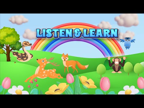 Listen & Learn : Animal Sounds Video