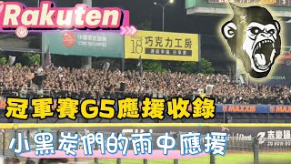 [分享] 樂天洲際外野冒雨應援實錄