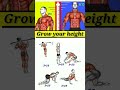 Height Grow Workout Grow Height Quickly