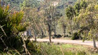 2014 BMW 530d Touring facelift - beauty & driving footage