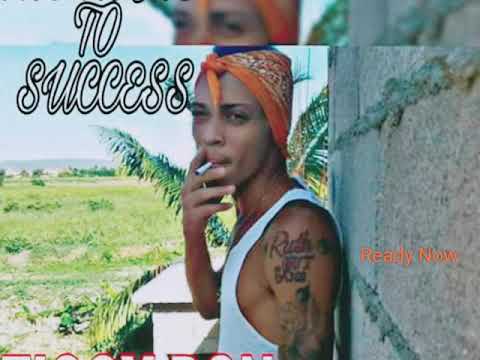 Ziggy Don - Success Neva Come Easy